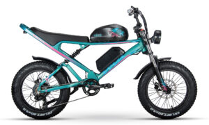 SK2202